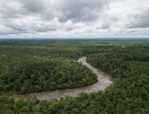 Where we come from: A look at the Chattahoochee River and Native American History